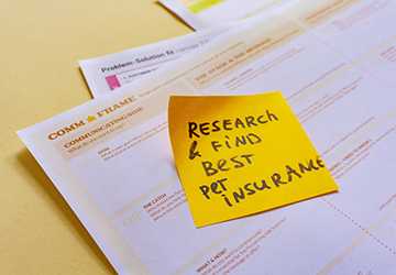 The Best Pet Insurance for Multiple Pets (2024)